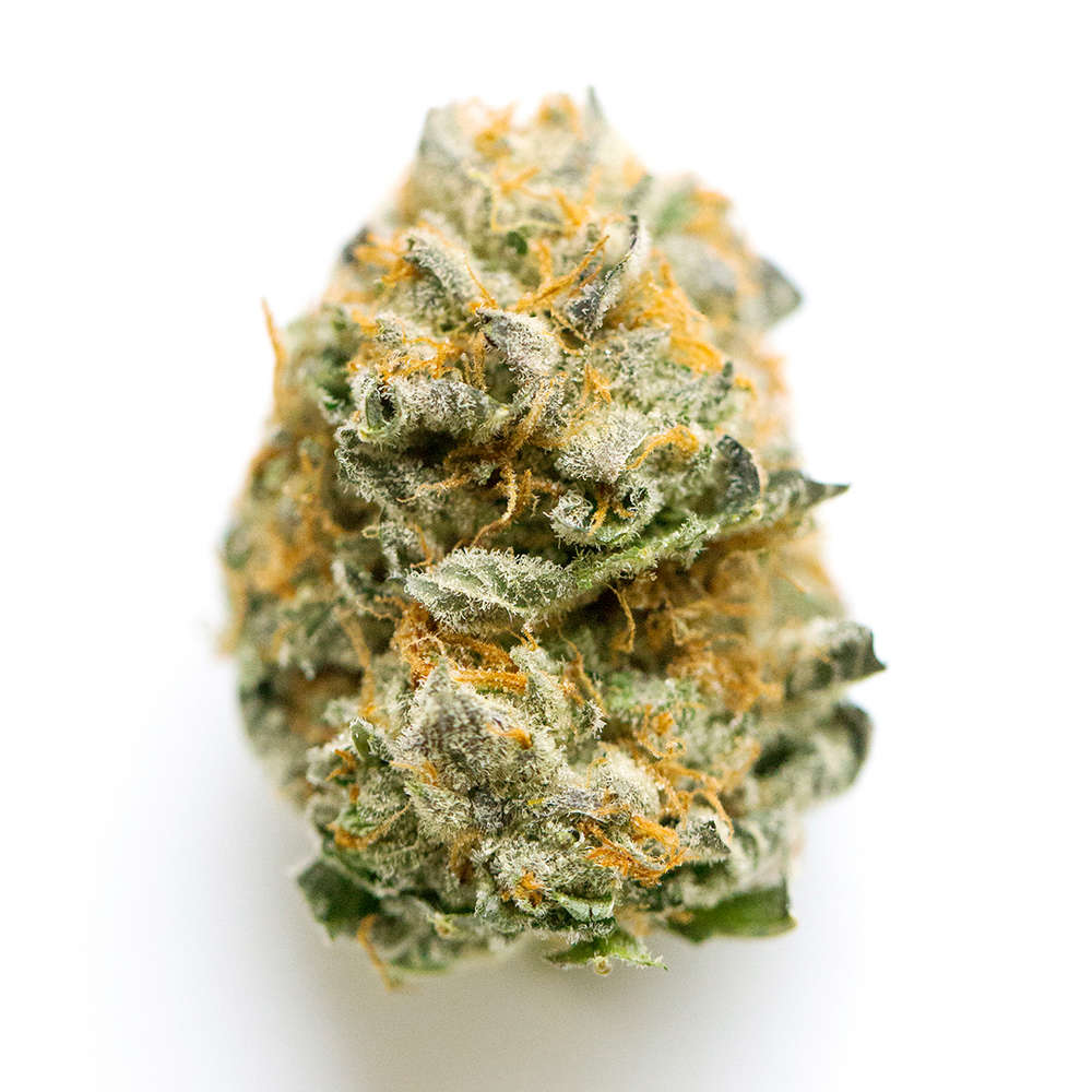 Snow Monster #9 - Green Point Wellness - Medical Marijuana Menu