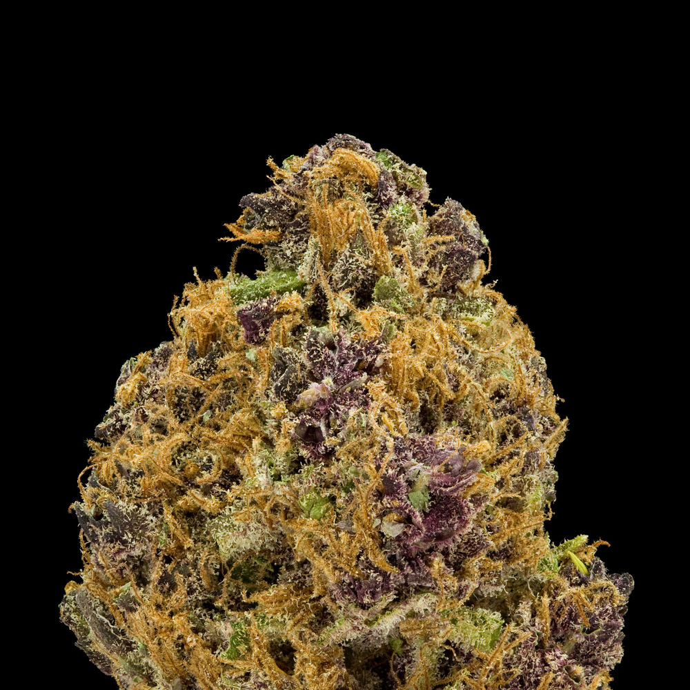 The Purple Urkle is the parent plant to Grape Ape and Grandaddy Purps so fr...