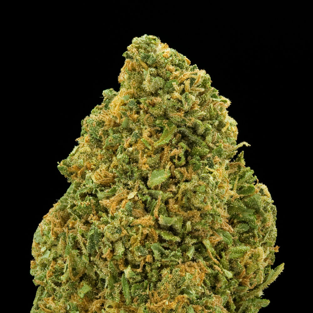 Orange Crush Cannabis