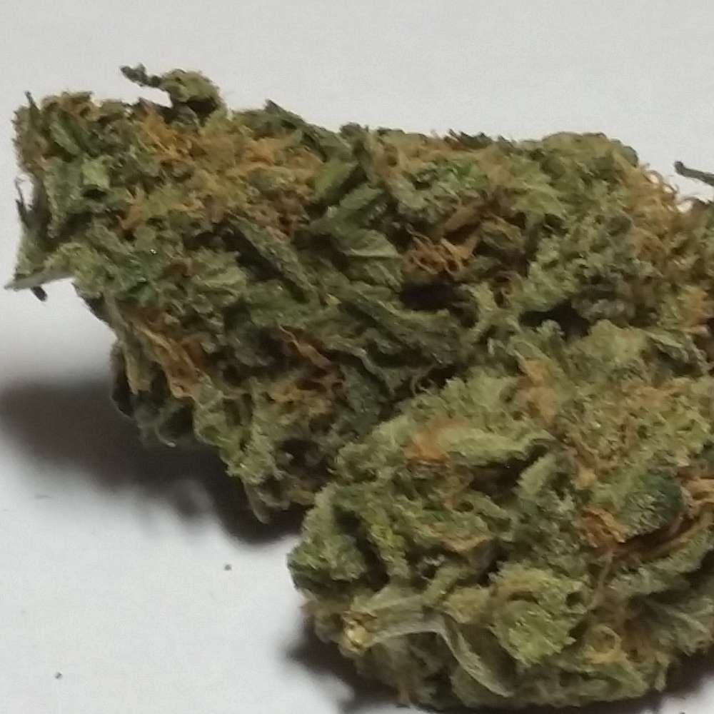 Blue Dream - Bernal Heights Cooperative - Medical ...